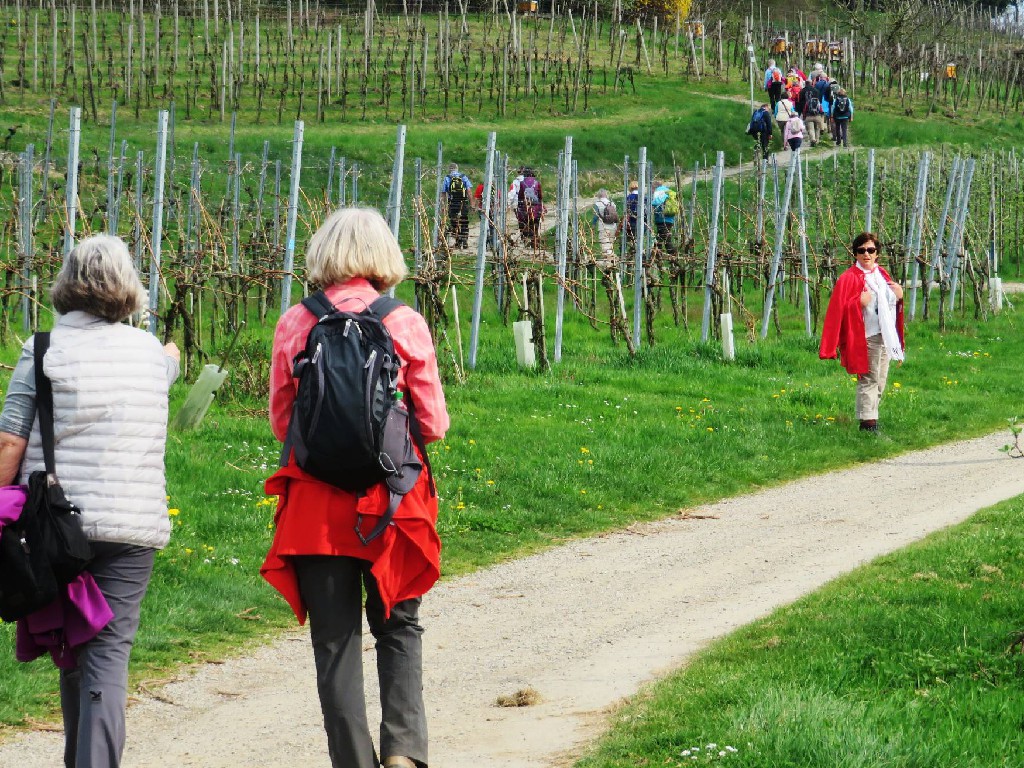 zum Ringoldsberg