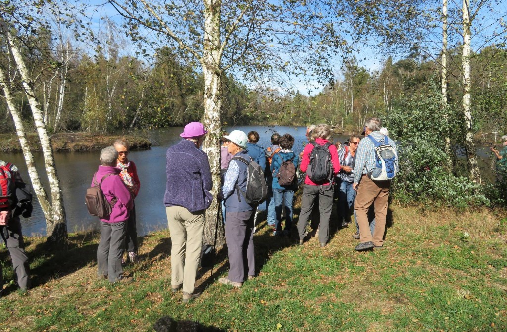 an einem Torfstichsee