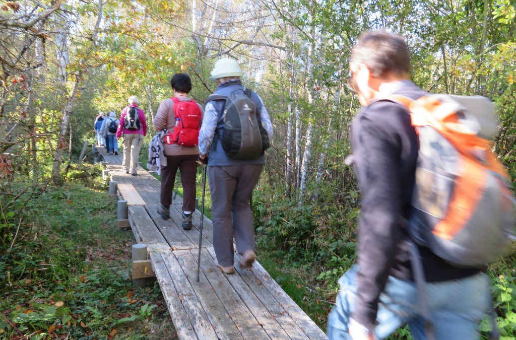 Stege überwinden den nassen Untergrund