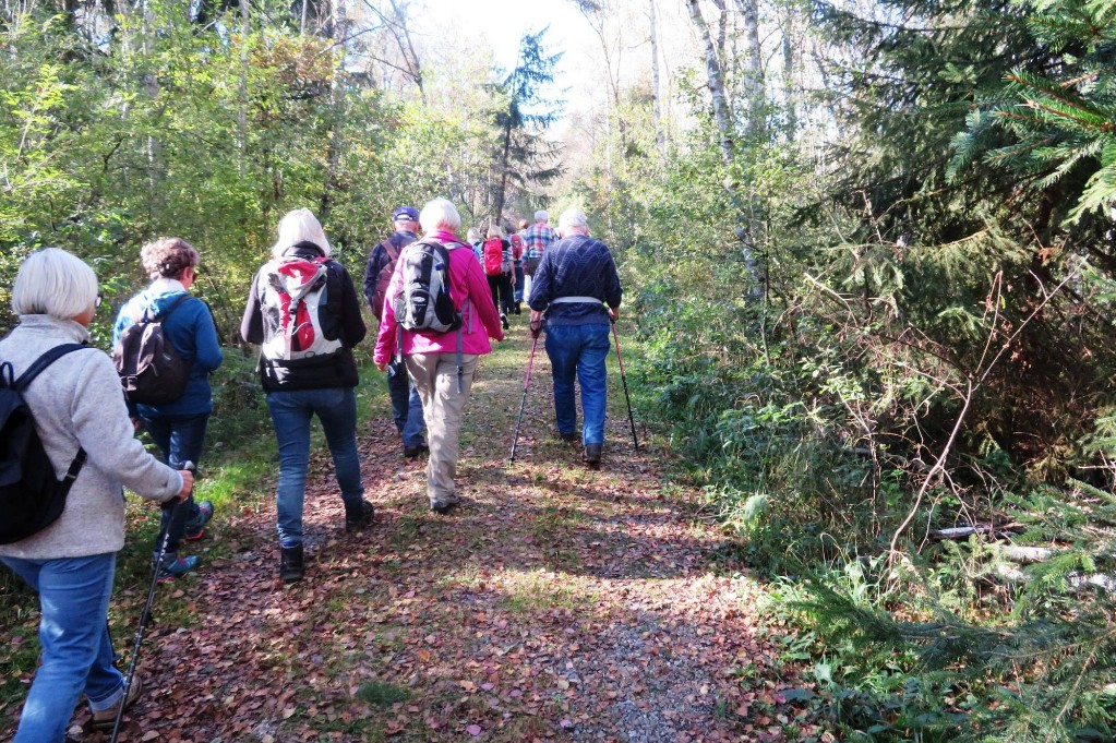 über bequemen Weg zurück