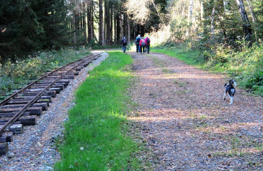 entlang den stillgelegten Bahngleisen zurück