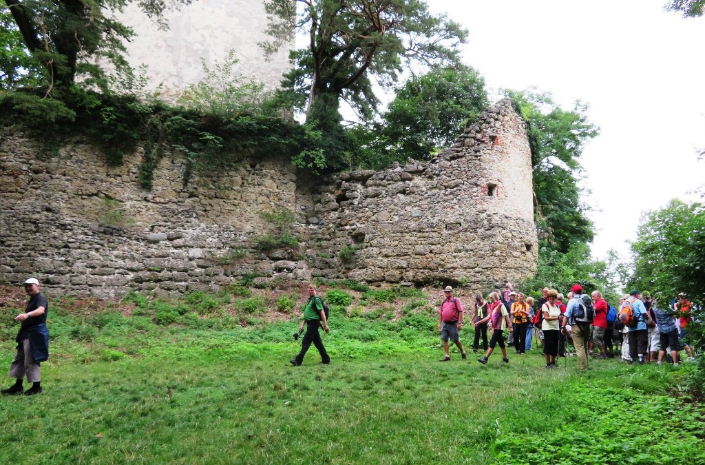 Burgruine Altbodman