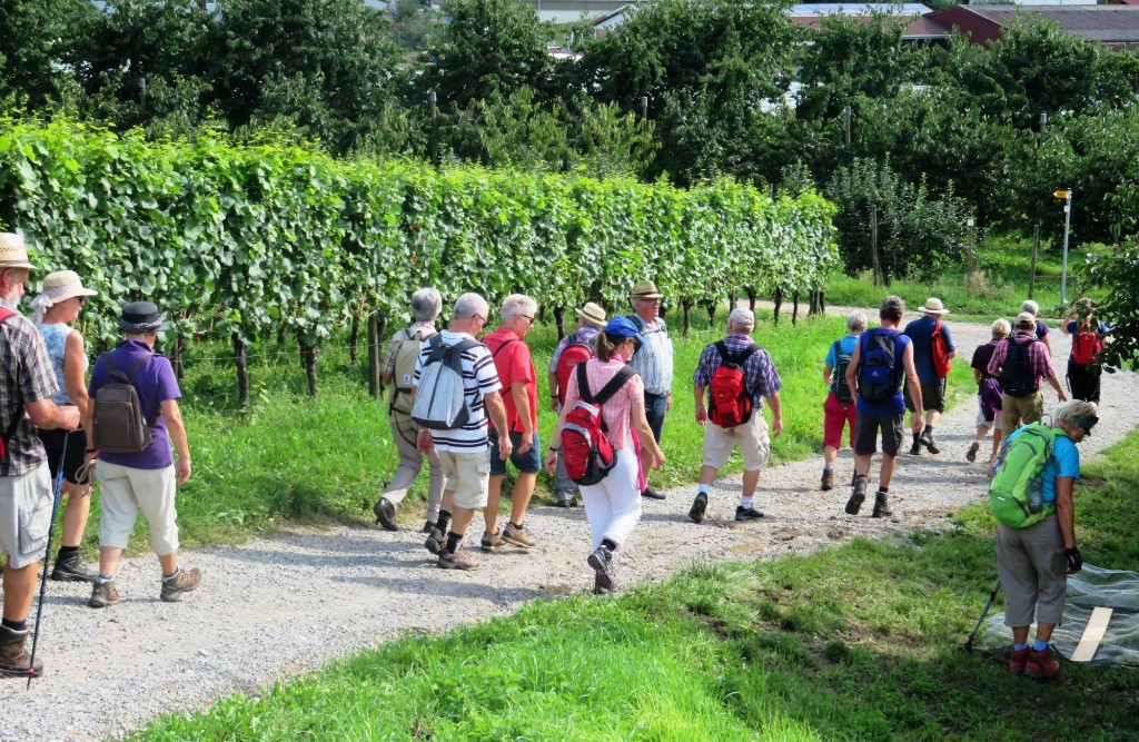 die Wanderung  war sehr abwechslungsreich und schön