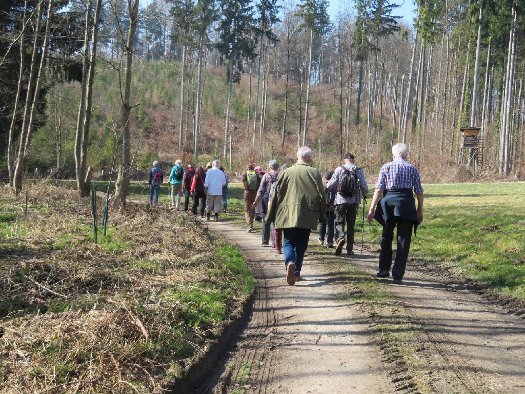 21 Wanderfreunde sowie Vivi + Romus