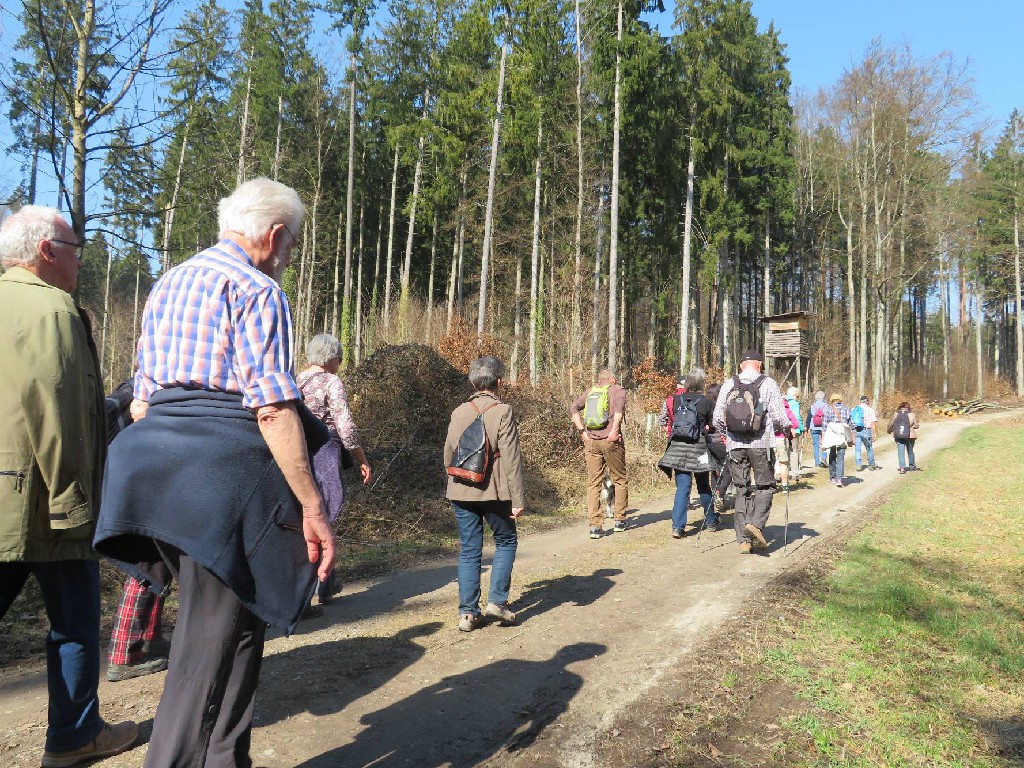 durch den Banzenreuter Wald