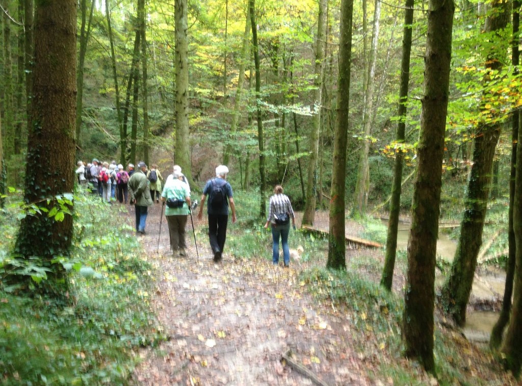 wandern 24 Wanderfreunde