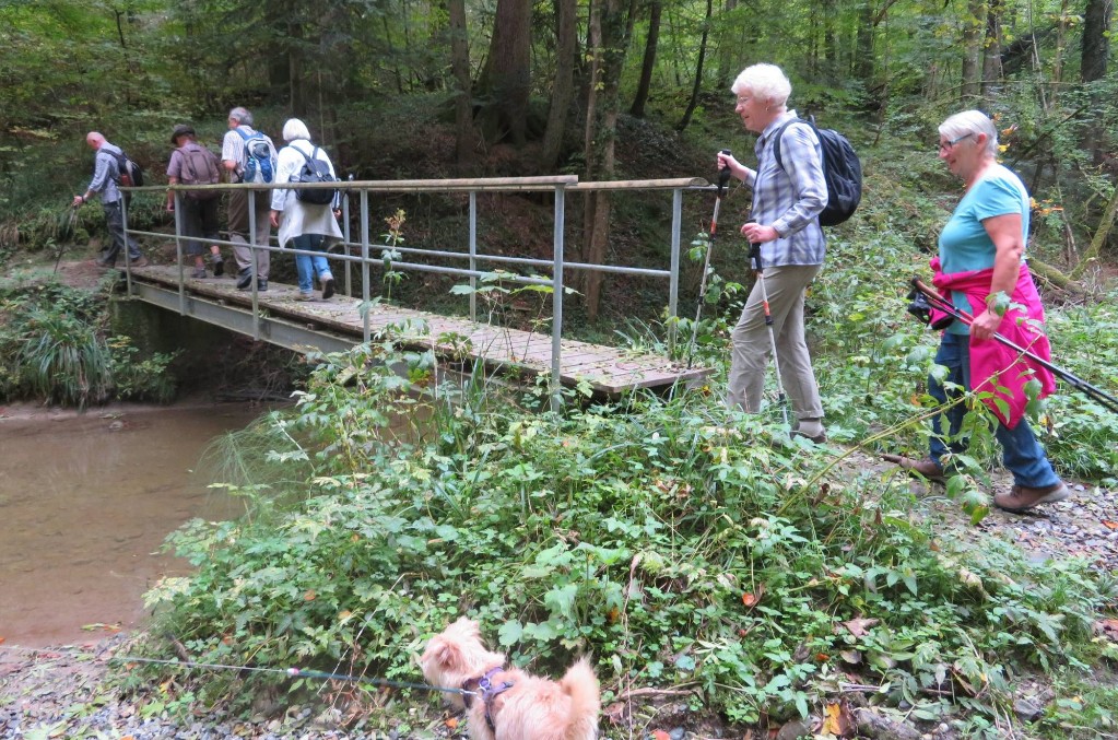 wir wandern über den Bach