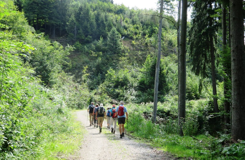 wandern 14 Wanderfreunde