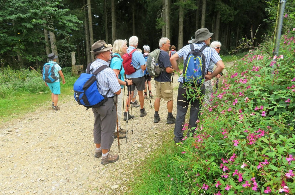 weiter in Richtung Tal
