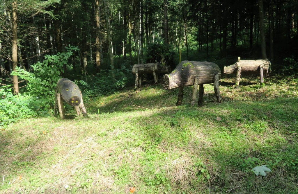 ungefährliche Wildschweine
