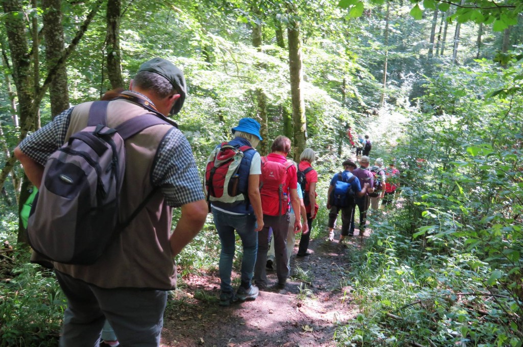 durch den Wald