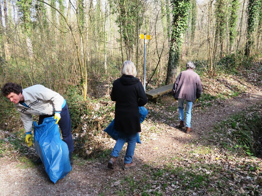 auf dem "Schweppenen-Weg"