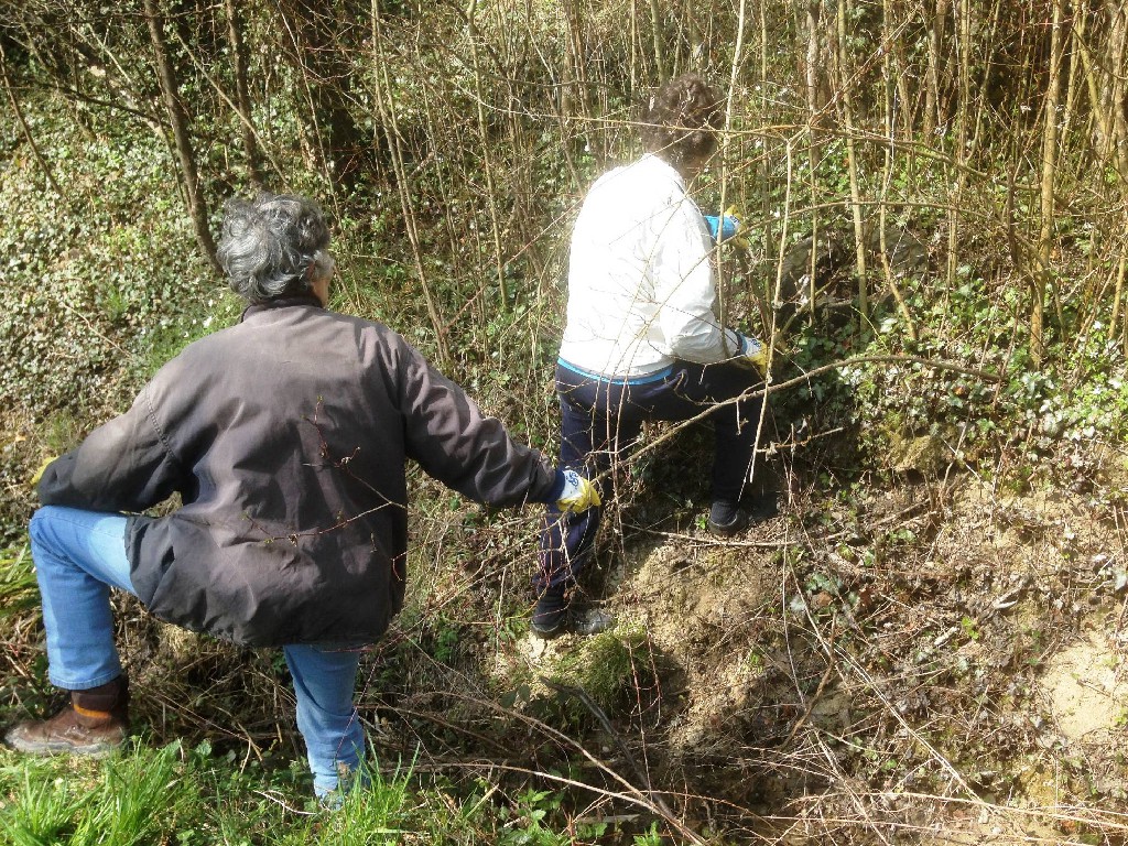 im Gestrüpp noch 2 Reifen