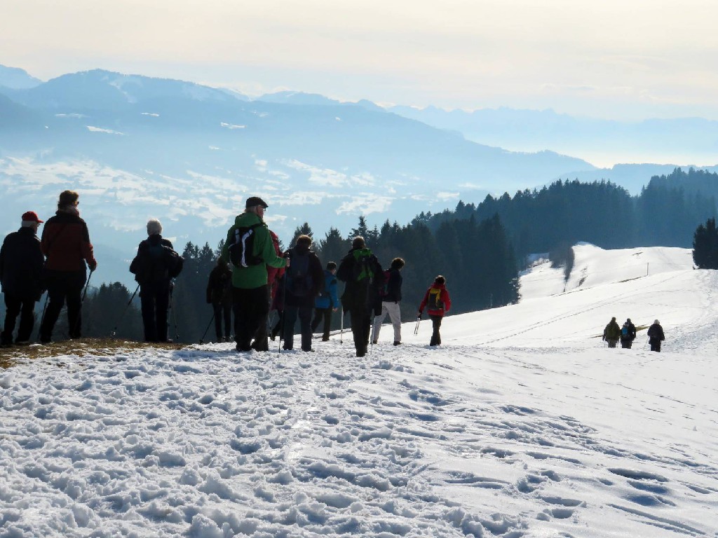 Blick gegen die Sonne