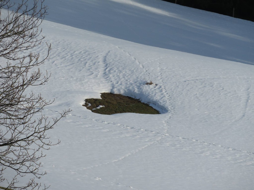 der Winter zeigt "Herz"