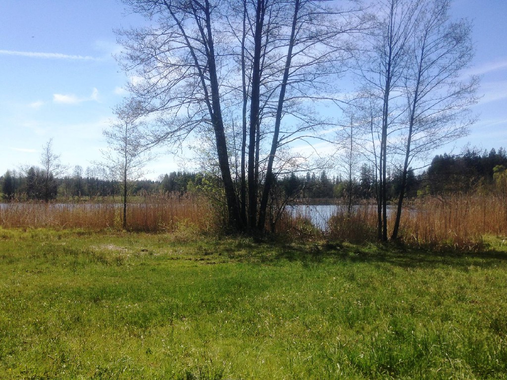Beim Stockweiher
