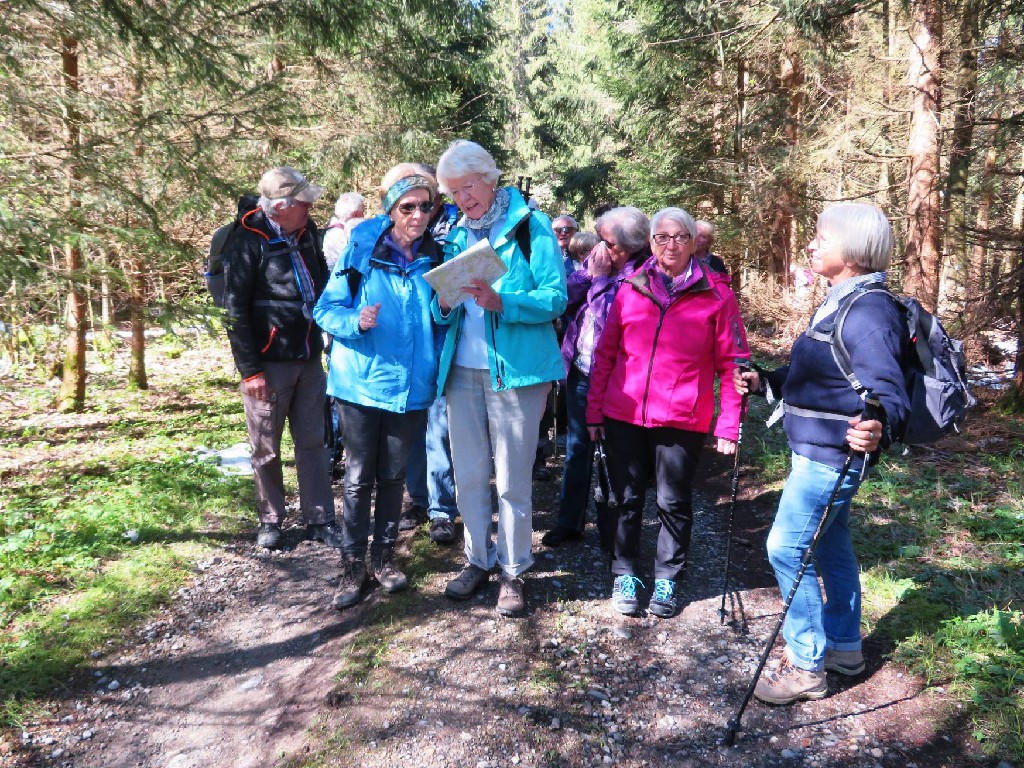 wir wandern durch den Wald