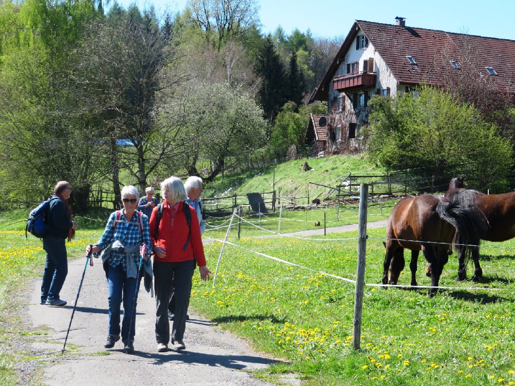 vorbei am Reiterhof