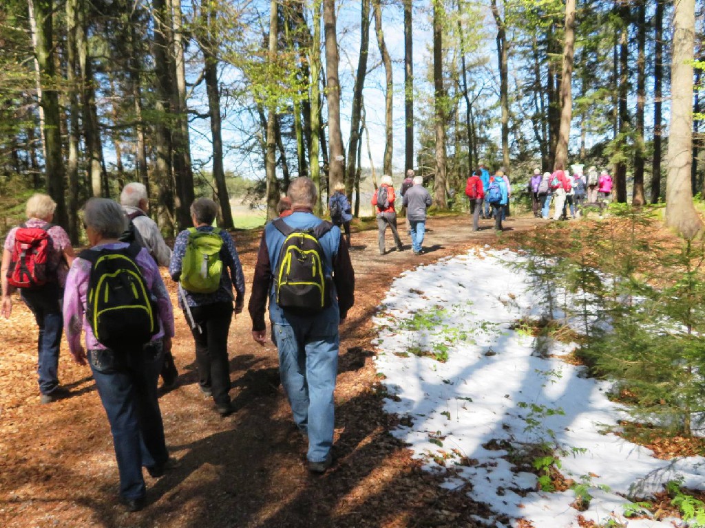 in Richtung Holzmühleweiher
