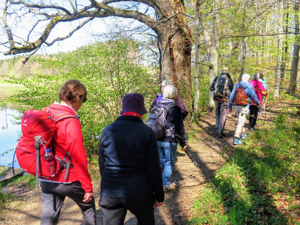 vorbei am Holzmühleweiher