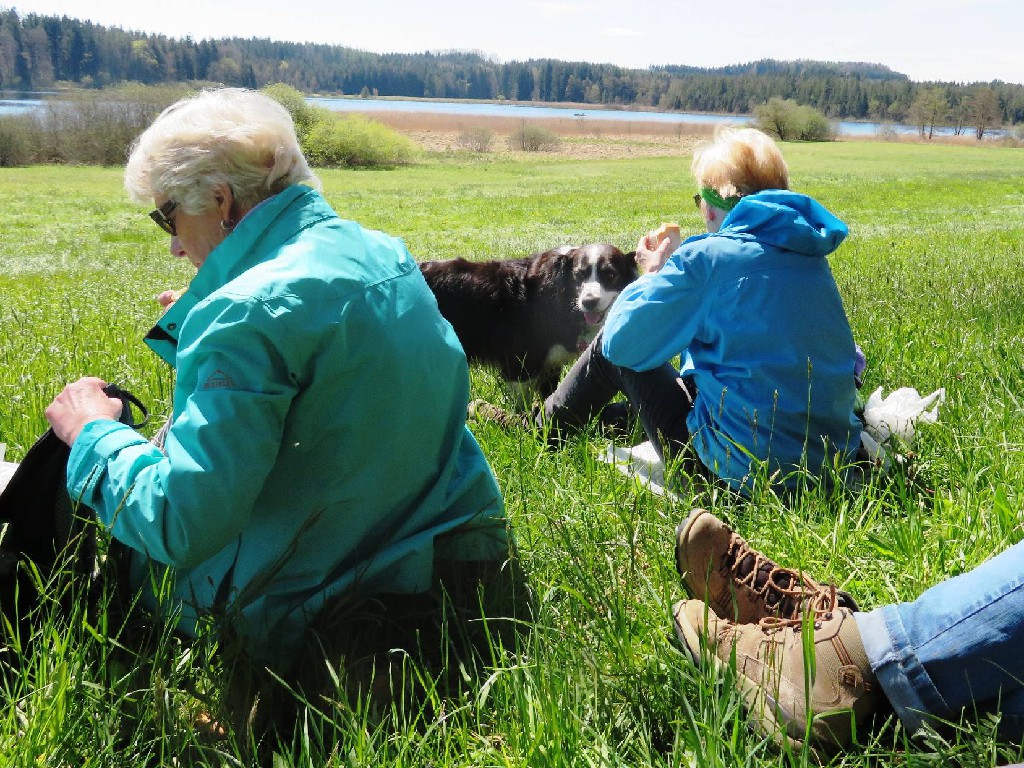 Mittagspause beim Holzmühleweiher