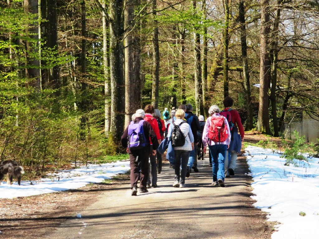 durch den Wald