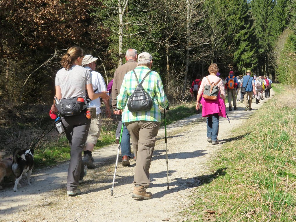 Richtung Wusthauweiher