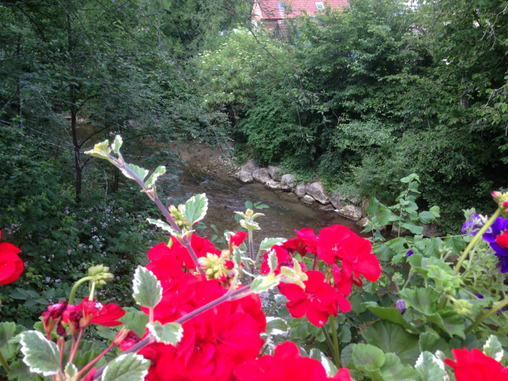 auf der Brücke