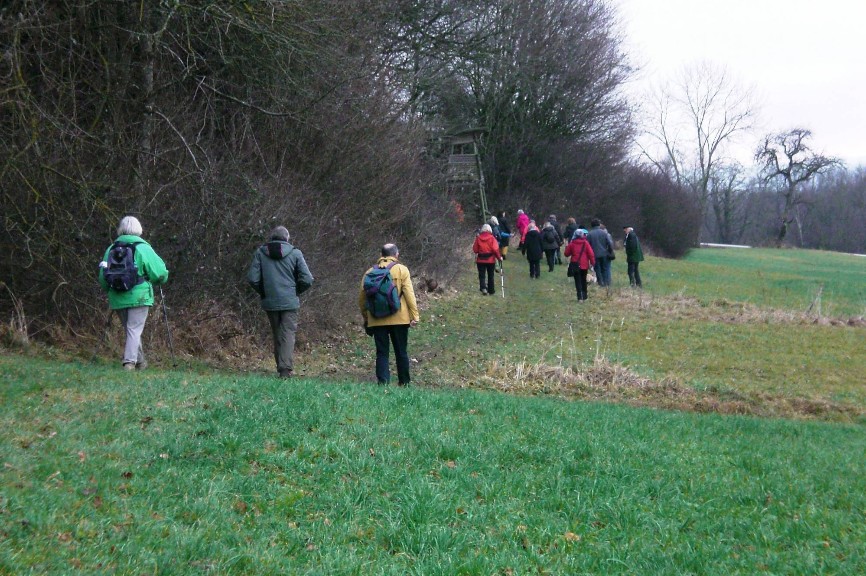 dem Wald entlang