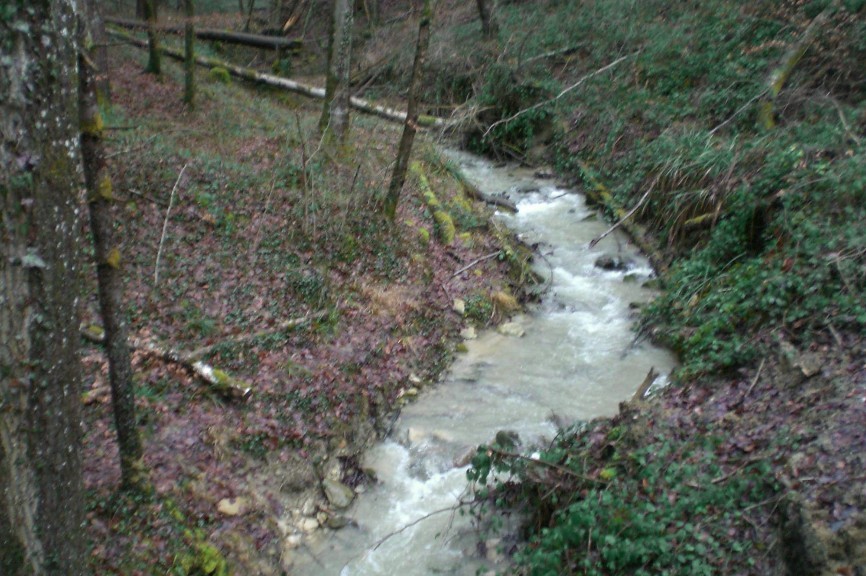 der Muldenbach