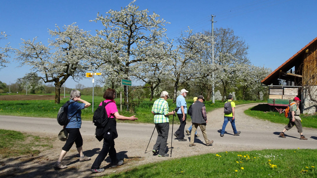 weiter Richtung Eriskirch