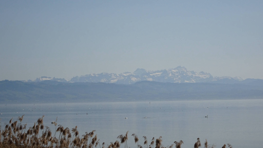 Blick zum Säntis