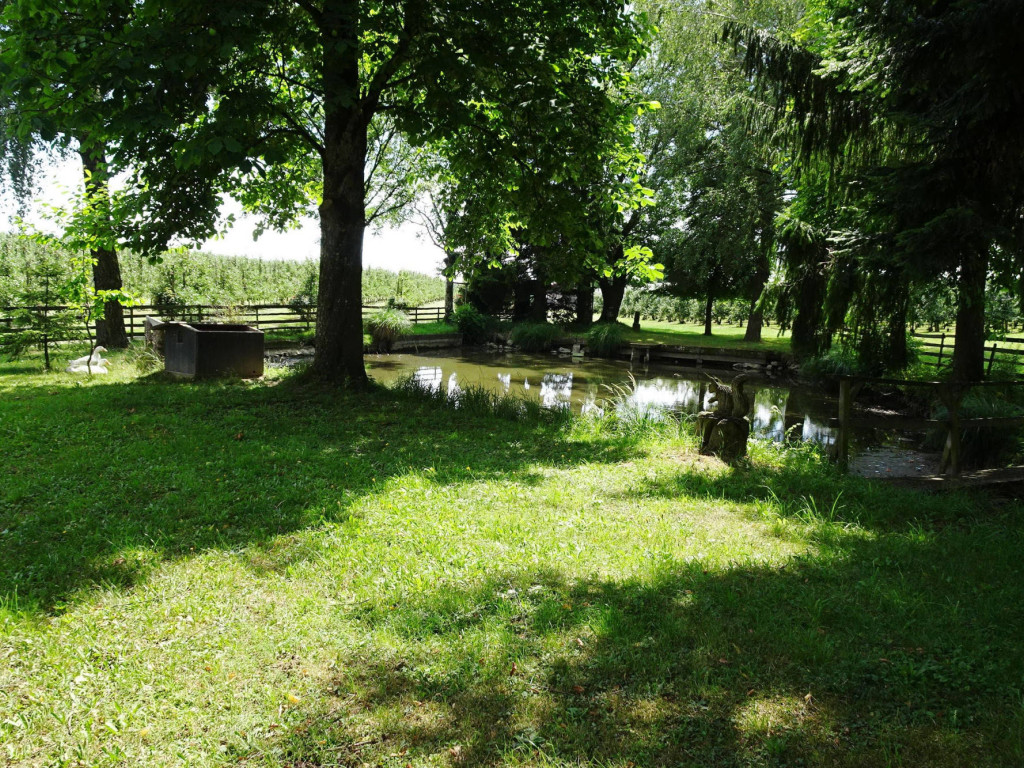 beim  Weiher