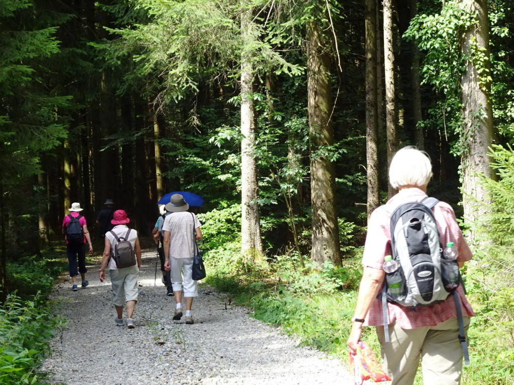 willkommene Abkühlung im  Wald