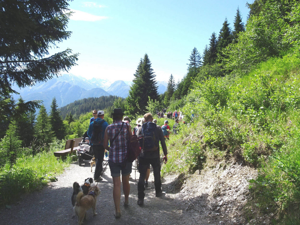 wandern wir