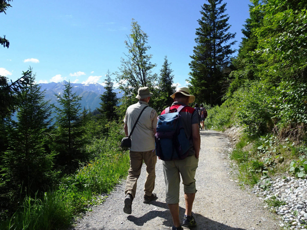 zur Leithe-Alm