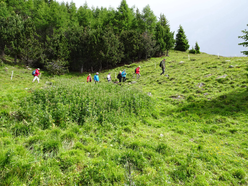 6.Tag Richtung Frommes Alpe