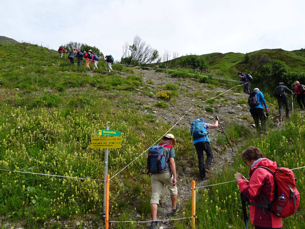 7.Tag auf dem  Blumenweg