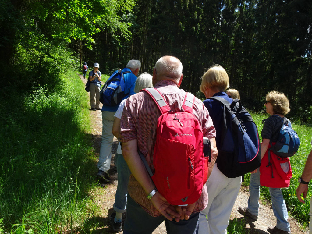 am Illmensee entlang