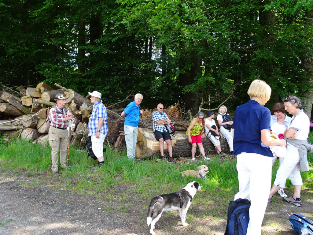 Romus und Vivi wollen weiter