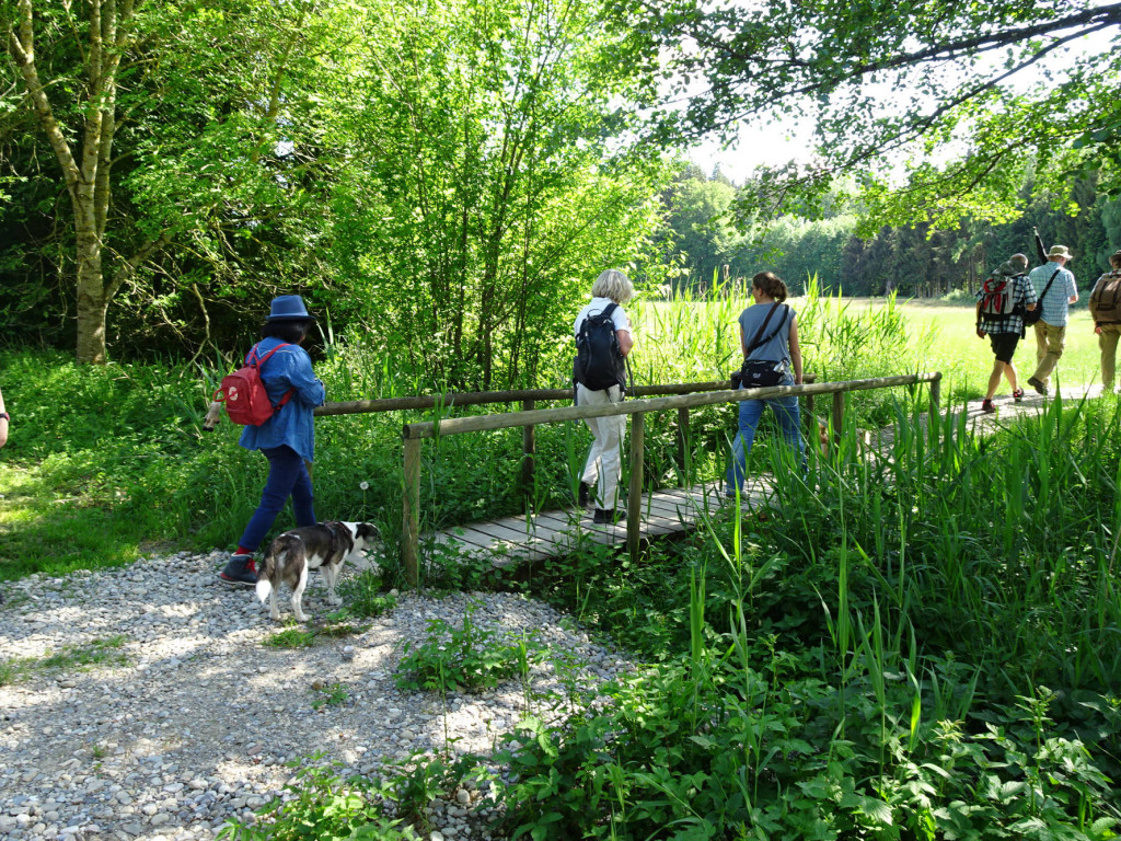 über den Andelsbach