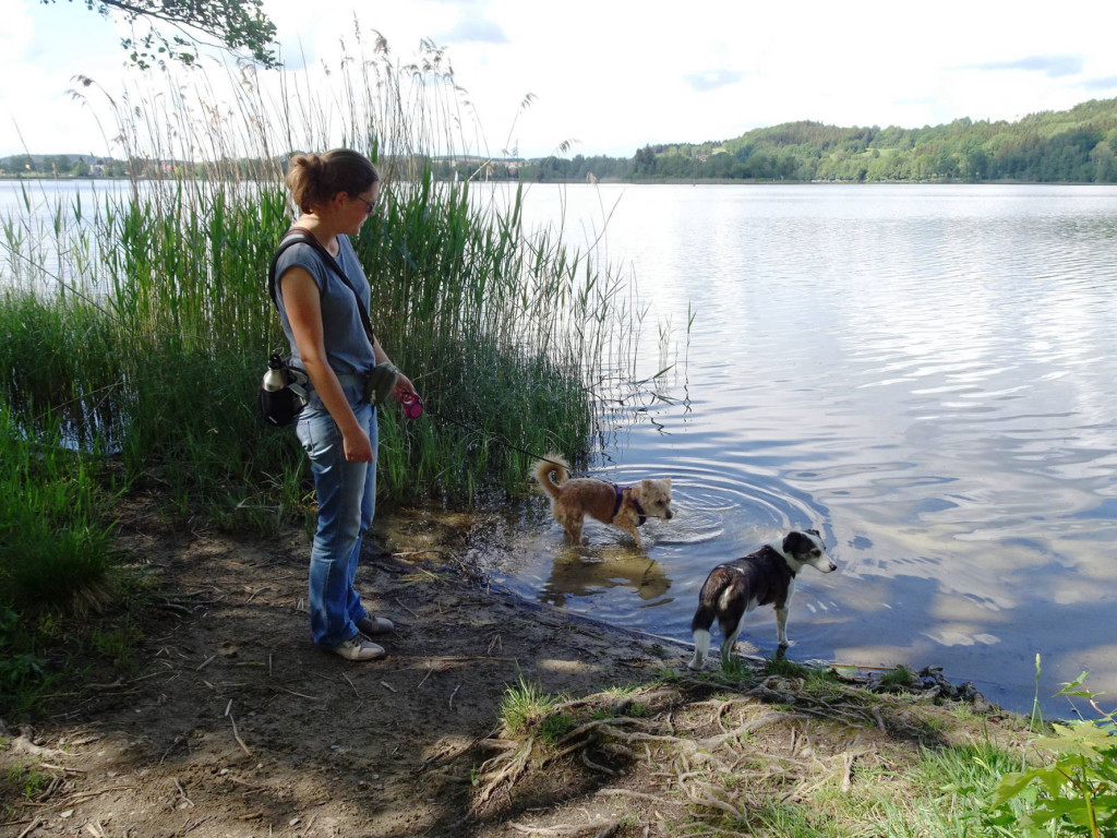 hier möchte man bleiben