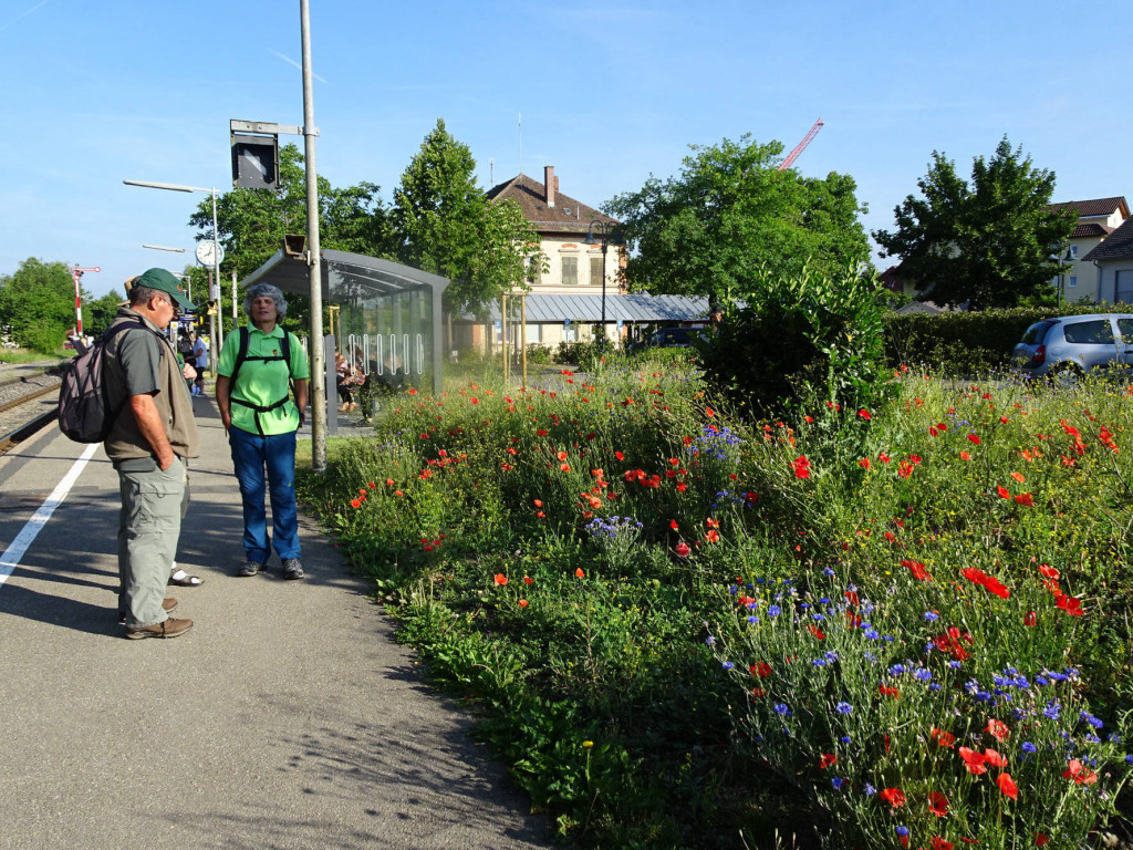 Mit der Bahn zum Landesfest