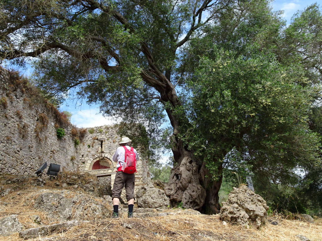 achteckige Festung Gardiki