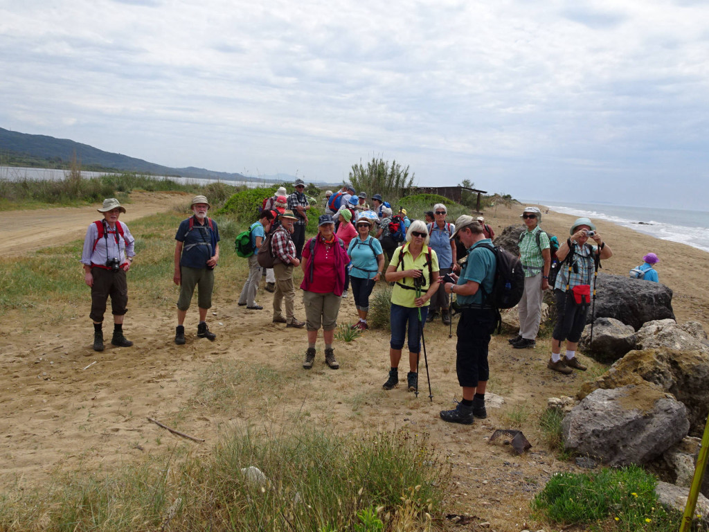 Agios Georgis Strand