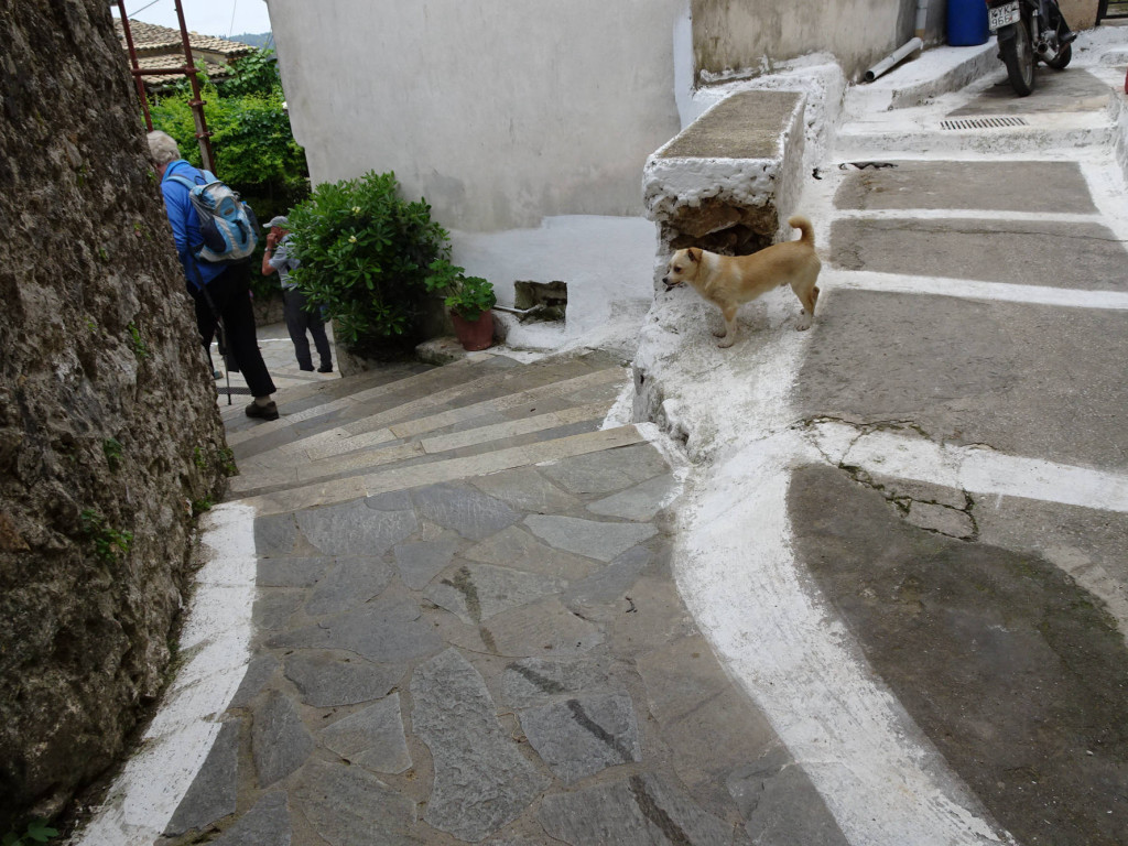 08.05. Bergdorf Agii Deka