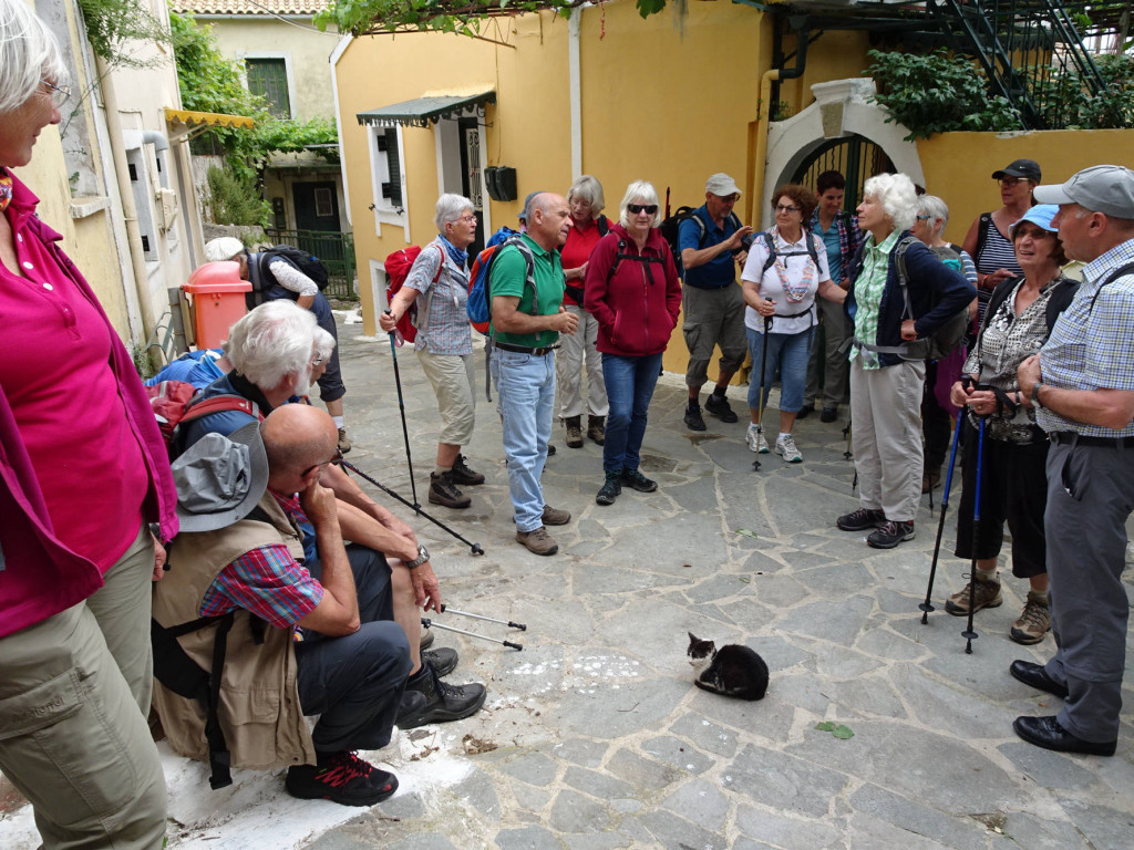 die Mieze lässt sich nicht vertreiben