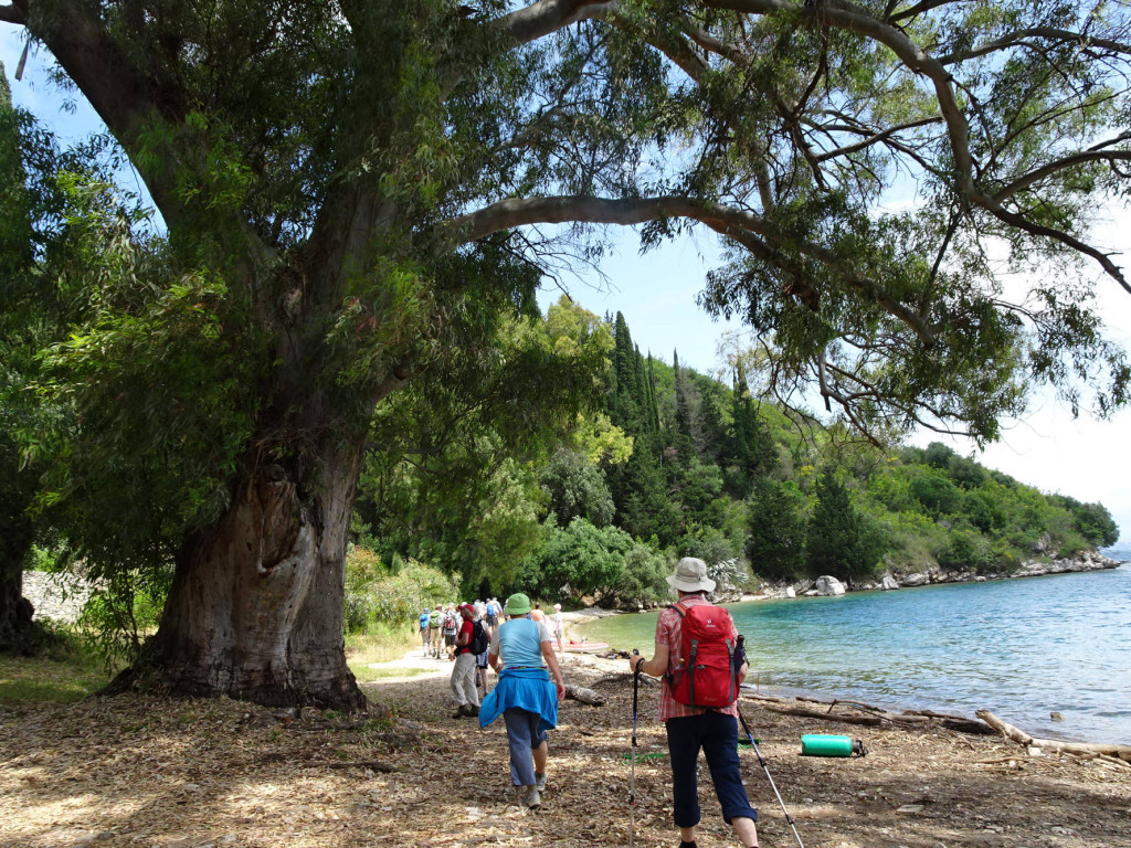 am Strand entlang nach