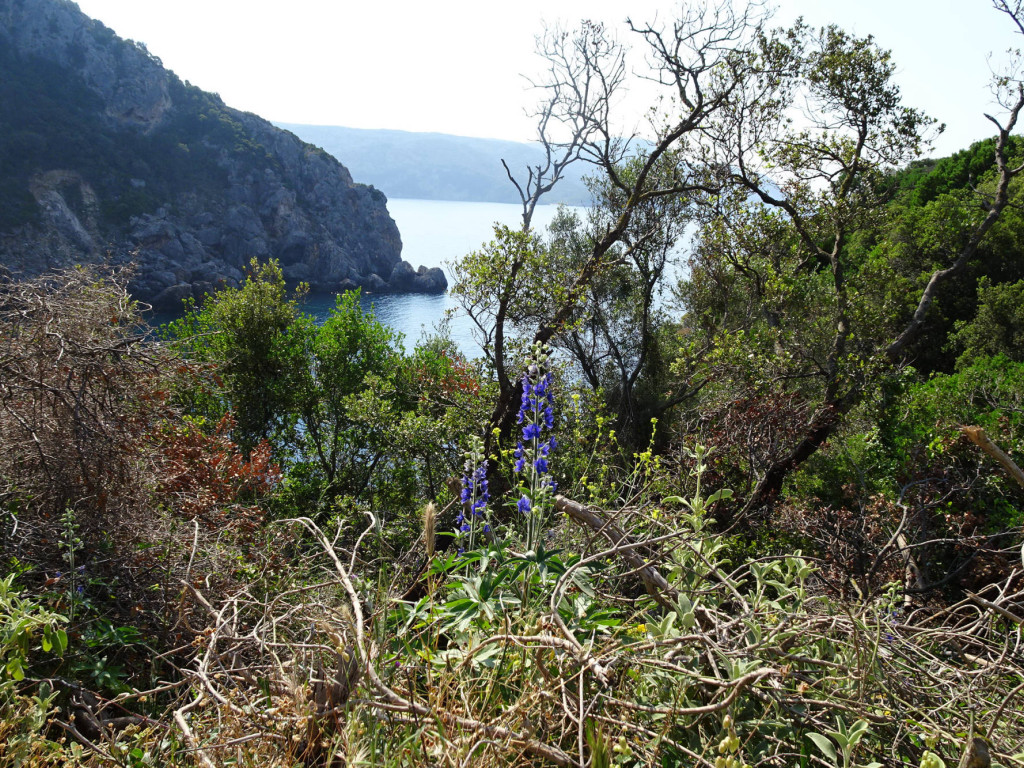 11.05. Paleokastritsa