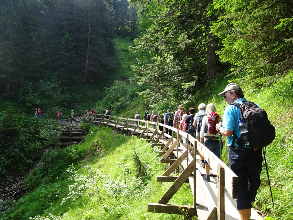 über Holzsteg